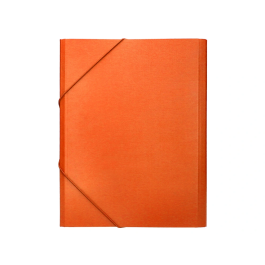 Liderpapel Carpeta Clasificadora Folio Prolongado Cartón Forrado Naranja 12 Departamentos