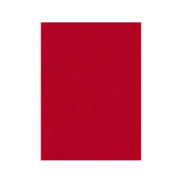 Liderpapel Fieltro 50x70cm Rojo 160g/m2 para Manualidades y Uso Escolar