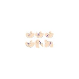 Vibrador para Parejas XR Lila Vibrador para Parejas XR Lila