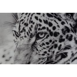 DKD Home Decor Cuadro Leopardo Negro Blanco Cristal Aluminio 100 x 100 cm (2 Unidades)