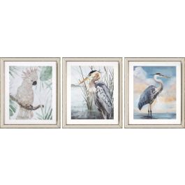 DKD Home Decor Cuadro de Pared Mediterráneo Lienzo y PS con Ave Azul Beige 56x66x1.6 cm - Set de 3 Precio: 110.49999994. SKU: S3038889