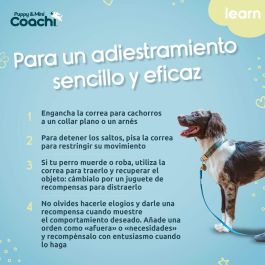 Arnés para Perro Coachi