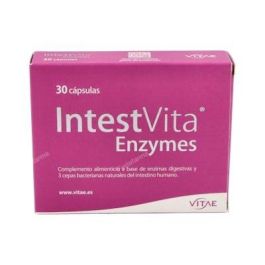 VITAE Intestvita Enzymes 30 Cápsulas - Soporte Flora Intestinal y Sistema Digestivo Precio: 23.8900002. SKU: B18EVDW8A3