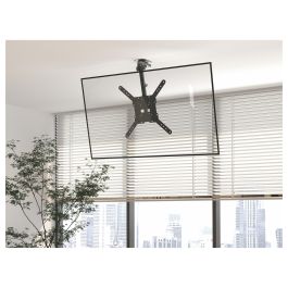 Equip Soporte Techo TV 650375 VESA 400x400 hasta 20kg para Pantallas 23"-55"