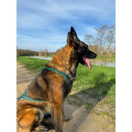 Arnés de tracción para perros - OLYMPIA - S - Tipo X-back - Azul Arnés de tracción para perros - OLYMPIA - S - Tipo X-back - Azul