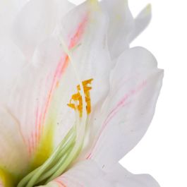 Flor Amarilis Blanco Artificial 23 X 20 X 73 cm
