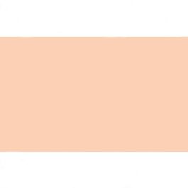 Fama Goma Eva Eb00 Piel 50x70 cm Grosor 2 mm Pack 10 Unidades Precio: 7.49999987. SKU: B14RAMMJJ8