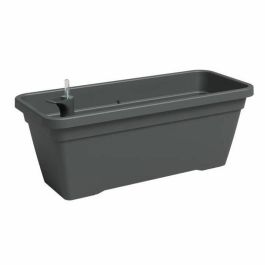 Jardinera - Plástico - Antracita - Rectangular - L57,9 x P24,3 x H22cm - ARTEVASI Precio: 27.78999982. SKU: B1FYMH8H9T