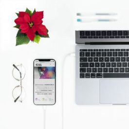 Cable Lightning NANOCABLE A12 SM-A125F USB C (2 m)