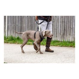 Halti Arnés Antitirones No-Pull Harness para Perros, Talla M (cuello 34-50cm), Poliéster - Control Efectivo para Cualquier Nivel de Tirón