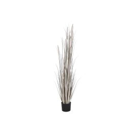 Planta Decorativa DKD Home Decor Juncos (45 x 45 x 150 cm) Precio: 73.50000042. SKU: S3043437