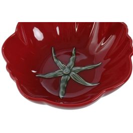 Ensaladera Moderno DKD Home Decor Rojo Verde 27.5 x 10 x 28 cm (2 Unidades)