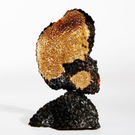 Loewe Earth Edp 100 mL Vaporizador Eau de Parfum Floral Amaderado Almizclado para Mujer