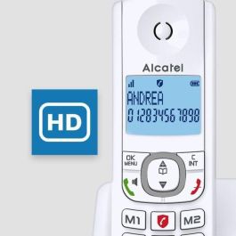 Alcatel F530 Teléfono inalámbrico DECT Classic Voice Solo Gris