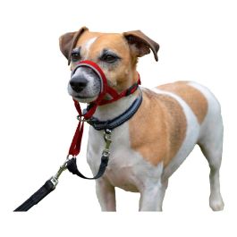Bozal Halti Headcollar Rojo Talla 1 Bozal Halti Headcollar Rojo Talla 1