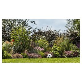 Bosch Bomba para Riego de Jardín con Temporizador y Potencia hasta 25m