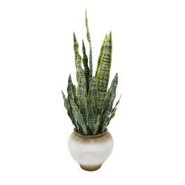 DKD Home Decor Planta Artificial Pe/Magnesia Verde Beige 60 x 60 x 109 cm Precio: 107.49999975. SKU: B16MP3SZCW