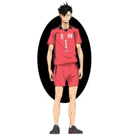 BANPRESTO Figura Ichibansho Tetsuro Kuroo Battle at the garbage Dump 2 Haikyu!! 20cm Precio: 44.5000006. SKU: B1E99XBDDA