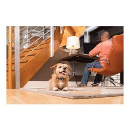 Petsafe Sistema de Entrenamiento Perros 300m con Collar Estático Vibración Sonido Impermeable y Recargable para Adiestramiento Canino >3.6kg Petsafe Sistema de Entrenamiento Perros 300m con Collar Estático Vibración Sonido Impermeable y Recargable para Adiestramiento Canino >3.6kg