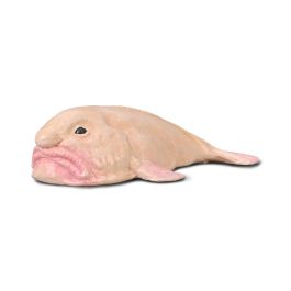 Collecta 80037 Pez Borrón M Réplica Animal Marino Escala Pintada a Mano Detallada Figura Educacional Precio: 3.993. SKU: B16TLVKC3Y