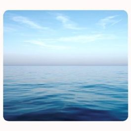 Fellowes Alfombrilla Ecológica Océano Azul para Ratón Óptico Precio: 6.50000021. SKU: B1JBKFYJ49