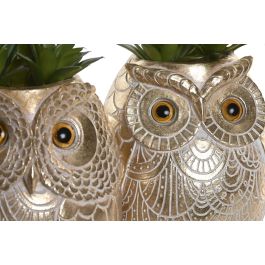 DKD Home Decor Planta Colonial Dorado Verde 18 x 11.5 x 11 cm