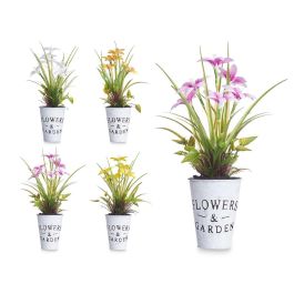 Planta Flor Abierta Peq Bote Metal Surtidos Ibergarden 15X36CM (12 Unidades) Precio: 29.58999945. SKU: B189NYNVA4