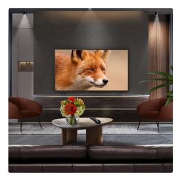 LG OLED Evo OLED77C54LA Televisor 77" Smart TV Ultra HD 4K OLED Evo AI C5 Procesador Alpha 9 Gen 8 2025