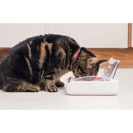 SUREFLAP Dispensador automático de alimentos - recipiente hermético SureFeed - para gatos y perros pequeños SUREFLAP Dispensador automático de alimentos - recipiente hermético SureFeed - para gatos y perros pequeños