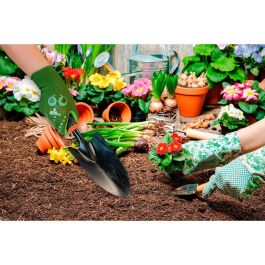Guantes de jardinería JUBA Verde Infantil