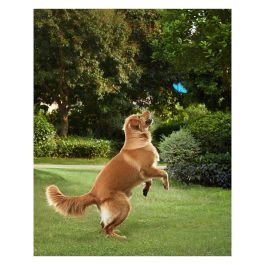 Anker Eufy Spotlight Cam Solar S40 - Cámara de Seguridad 2K Exterior e Interior con Batería y Panel Solar, Visión Nocturna, IP67, Inalámbrica