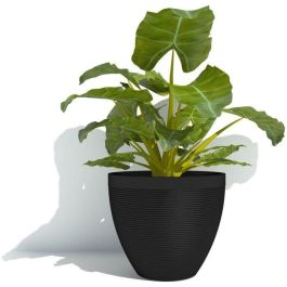 Garden Id 02042169 Maceta Green Care Impact Negro Antracita 40x31 cm 100% Reciclada, Resistente UV y Heladas, 10 años garantía Garden Id 02042169 Maceta Green Care Impact Negro Antracita 40x31 cm 100% Reciclada, Resistente UV y Heladas, 10 años garantía