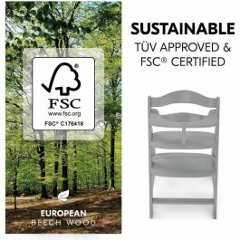 Hauck Silla Alta de Madera Escalable Alpha + / Gris para Bebé y Niños, Arnés 5 Puntos, Estante Extraíble, Desde 6 Meses hasta 90 Kg