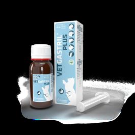Vetgastril Plus 20 mL Precio: 17.7899997. SKU: B1CRWSR6BQ