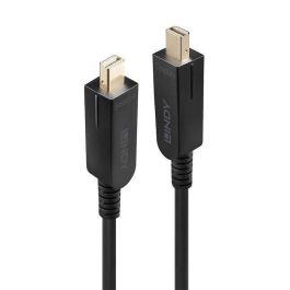Lindy 70m Fibre Optic Hybrid Mini DisplayPort 1.4 Cable with Detachable DP Connectors Lindy 70m Fibre Optic Hybrid Mini DisplayPort 1.4 Cable with Detachable DP Connectors