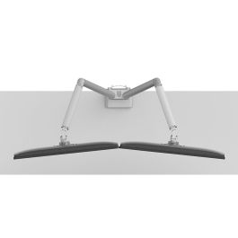 Soporte de Mesa para Pantalla Neomounts DS70-250SL2 17" 35" Soporte de Mesa para Pantalla Neomounts DS70-250SL2 17" 35"