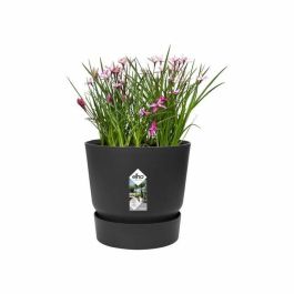 Elho Greenville 47 Maceta Redonda Exterior Ø 47 x H 44.1 cm Negro Living Plástico Reciclado Resistente Heladas Depósito Agua