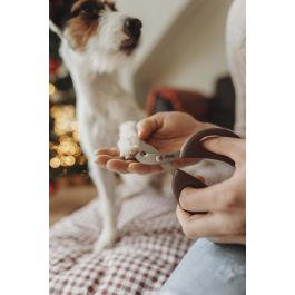 Hunter Tijera Corta Uñas de Precisión para Perros, Gatos, Pájaros y Pequeños Animales. Hoja Acero Inoxidable, Mango Ergonómico