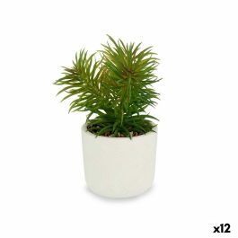 Planta Decorativa Blanco Verde (14 x 20 x 14 cm) (12 Unidades) Precio: 63.58999999. SKU: S3618200