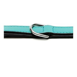 Collar Piel Acolchado 55 cm X 25 mm Turquesa