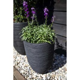 Florero bajo elegante - CAPI EUROPE - RIB NL - 34 x 46 cm - Negro Florero bajo elegante - CAPI EUROPE - RIB NL - 34 x 46 cm - Negro