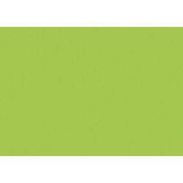 Cartulina Fluor A3 Iris 250G Verde Paquete De 50 Precio: 29.88999959. SKU: B1ACFSG6BA