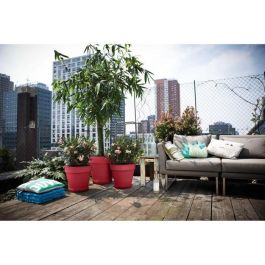 Maceta - Elho - Loft Urban Redonda - Roja - L 29 x An 28,5 x Al 26 cm - Exterior - 100% reciclada Maceta - Elho - Loft Urban Redonda - Roja - L 29 x An 28,5 x Al 26 cm - Exterior - 100% reciclada