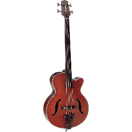 Takamine DB10 Fretless E/A F-Hole Cutaway Bajo Acústico Amplificado