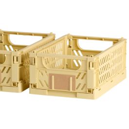 Day Juego de 2 Cajas Plegables de Almacenaje Amarillas 25x16.5x10 cm Capacidad 3.3 L Carga 10 kg