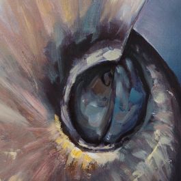 Cuadro Impresión Conchas 2/M Gris 72 X 4 X 100 cm