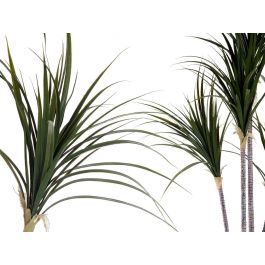 Ibergarden Planta con Maceta Hoja Estrecha Pequeña 140 cm (Al) x 80 cm (An) x 85 cm (La)