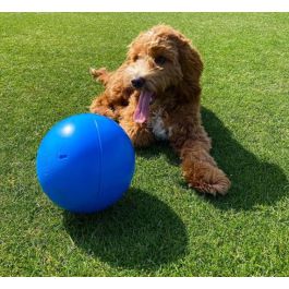 Company Of Animals Boomer Ball Pelota Superresistente Polietileno 15 cm
