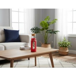 Bewinner Botella de Agua de Vidrio y Silicona 560ml 7x7x22.5 cm