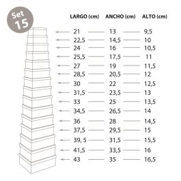 Set 15 Cajas Carton Peter Versa 35X16CM (2 Unidades) Set 15 Cajas Carton Peter Versa 35X16CM (2 Unidades)
